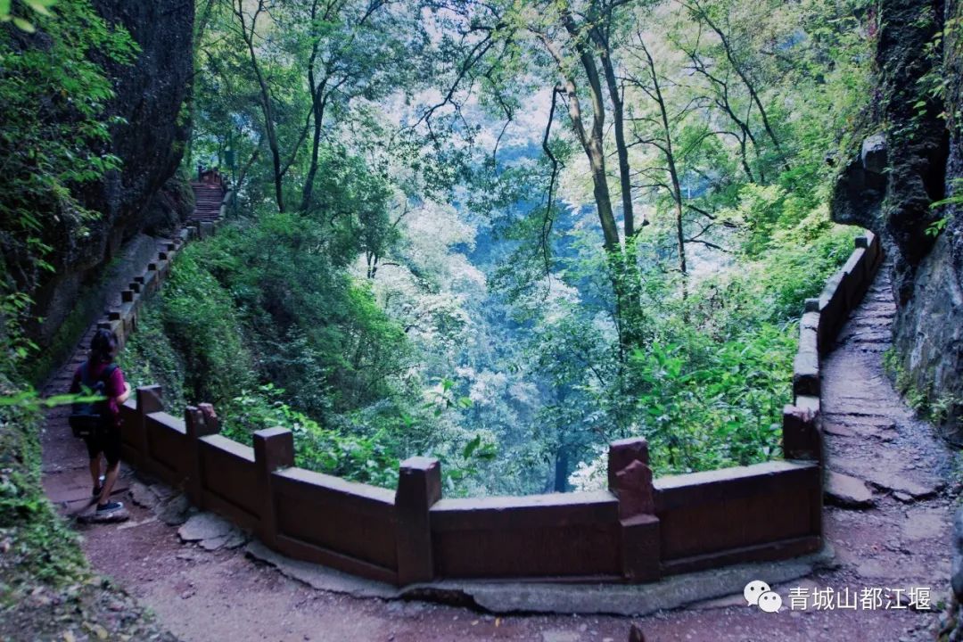 青城山森林秘境,青城山风光好去处