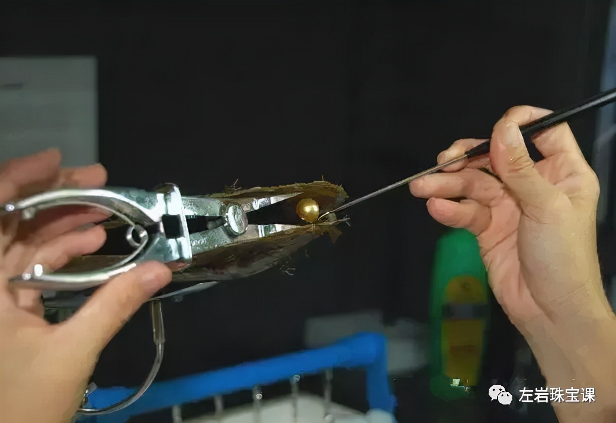 南洋金珠最经典的款式,南洋金珠的功效与作用