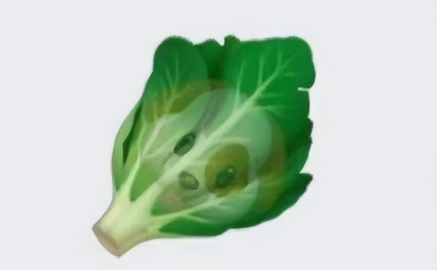 00后才懂的谐音梗,聊天记录谐音梗笑死人