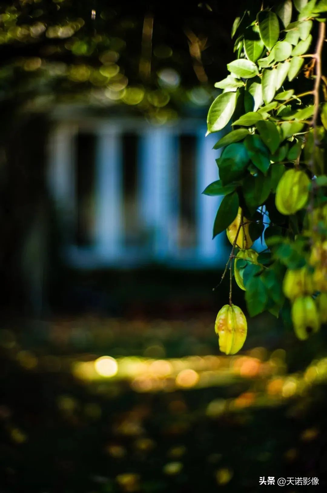 徕卡相机德味最浓的一款,徕卡德味相机有哪些