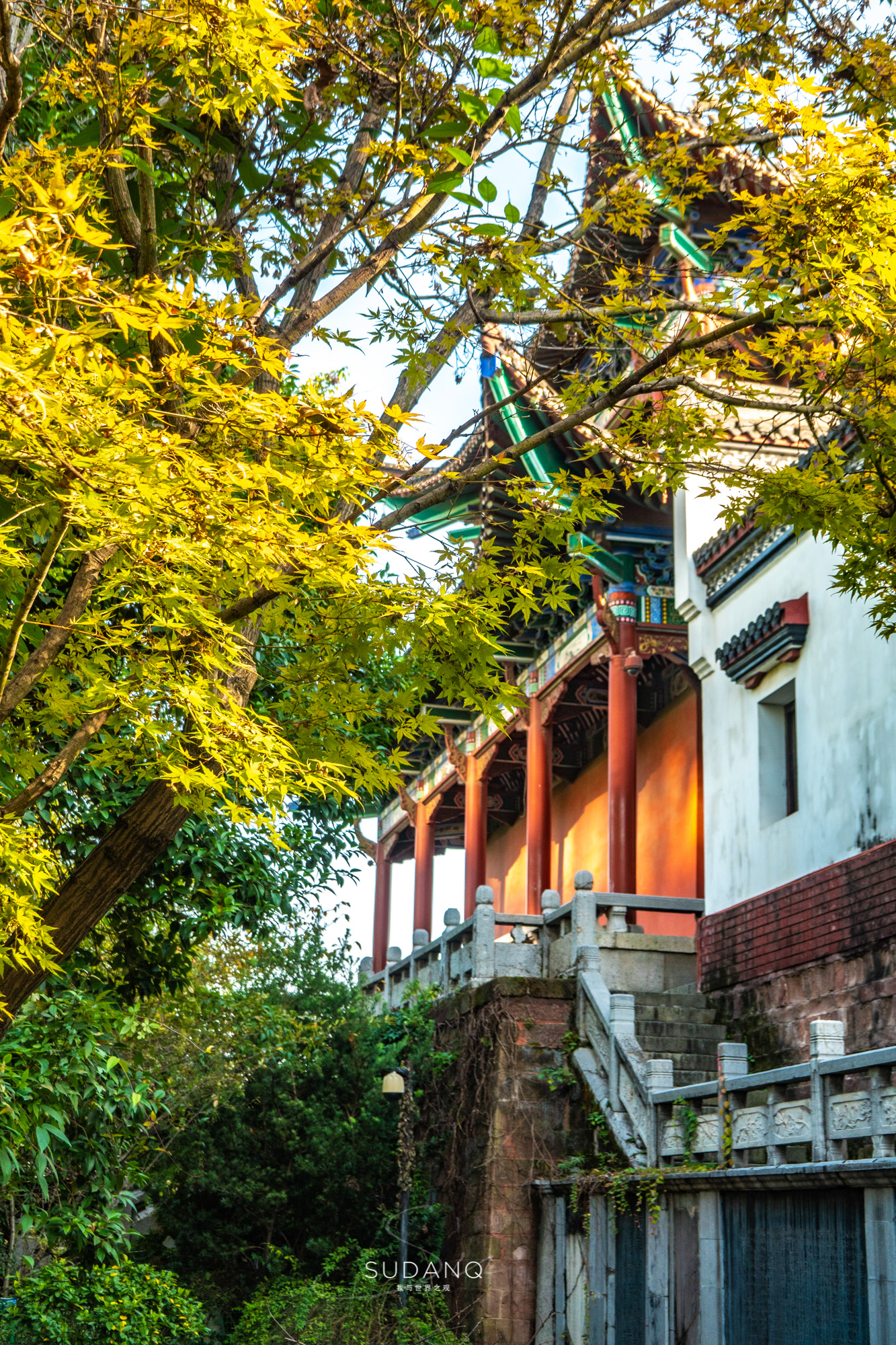 大自然塑造了我,大自然塑造者