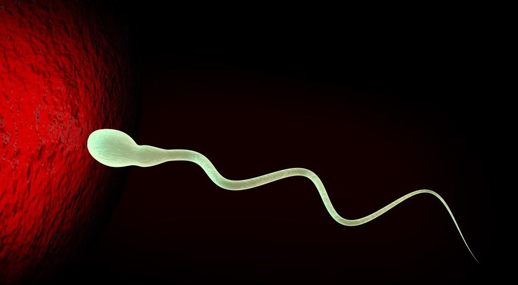 怎么看出男性精子质量不行,如何看出男性精子质量