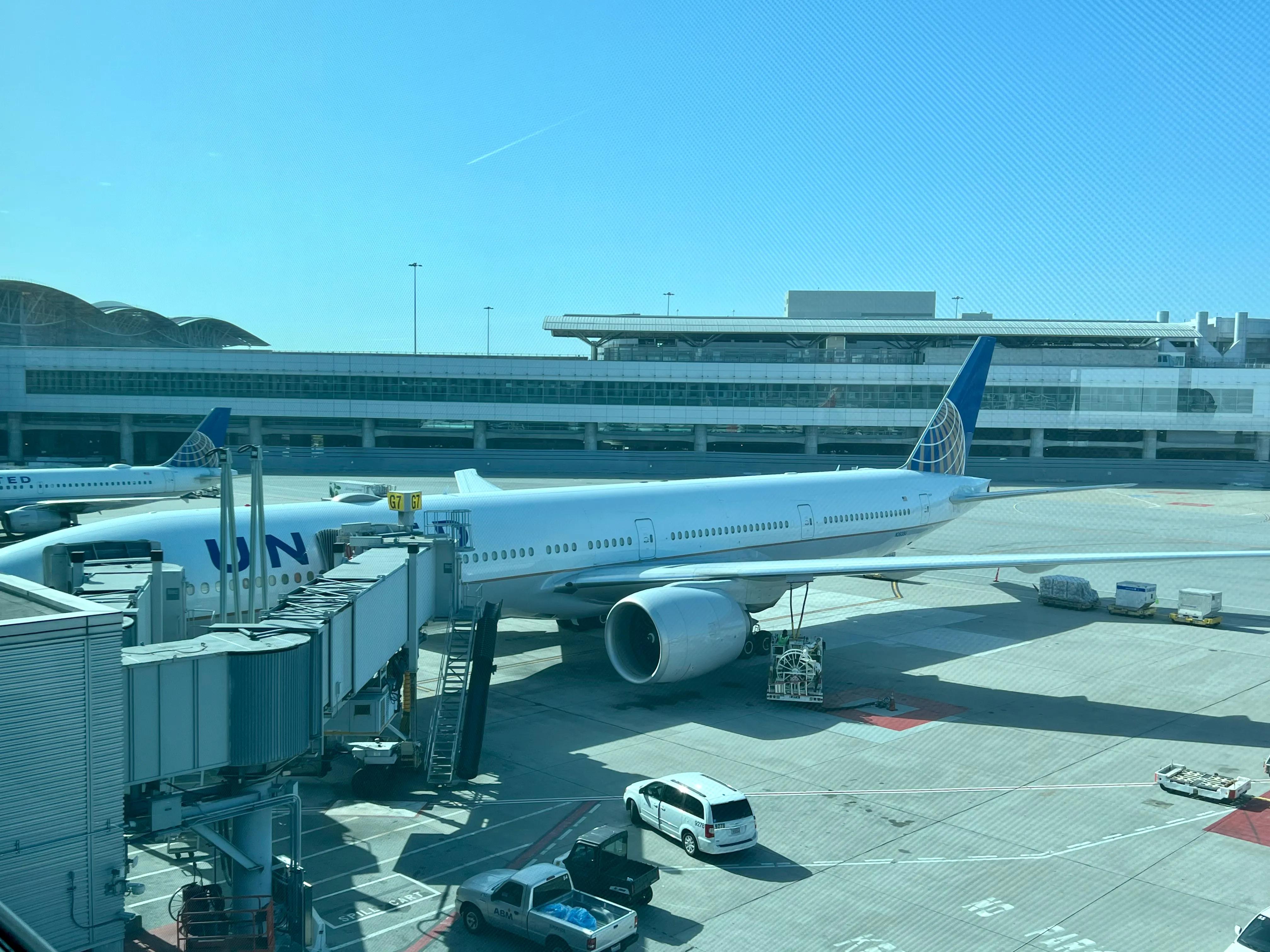 我终于了解自由,我终于自由了是哪本小说