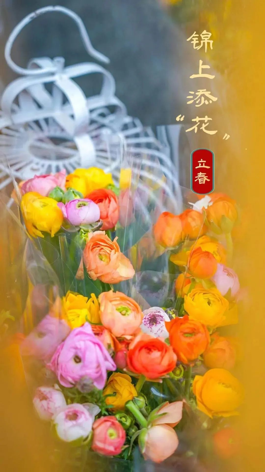 武汉春节惠民活动,武汉人的福利