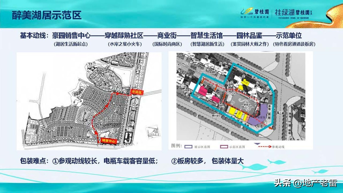 碧桂园精准发展方案,碧桂园的商品房改造方案