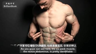 杰夫赛德教你怎样练麒麟臂和腹肌,杰夫健身6分钟练腹肌原视频