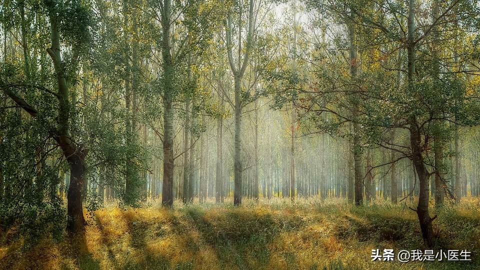 痛风的症状与治疗方法3d,痛风三大证型辨证分析