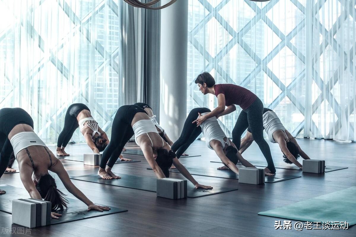 小白家庭健身计划,纯小白徒手健身计划