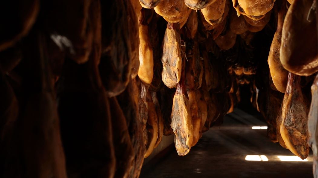 专家谈碳中和,碳中和专家访谈