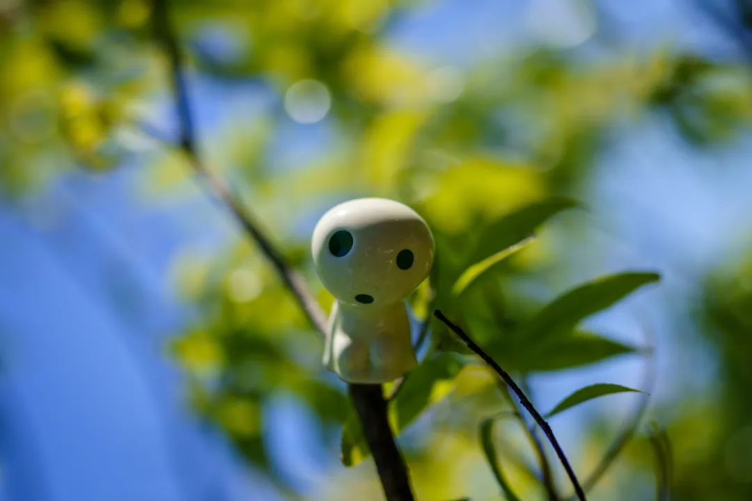 宫崎骏真的退休了吗,宫崎骏退休