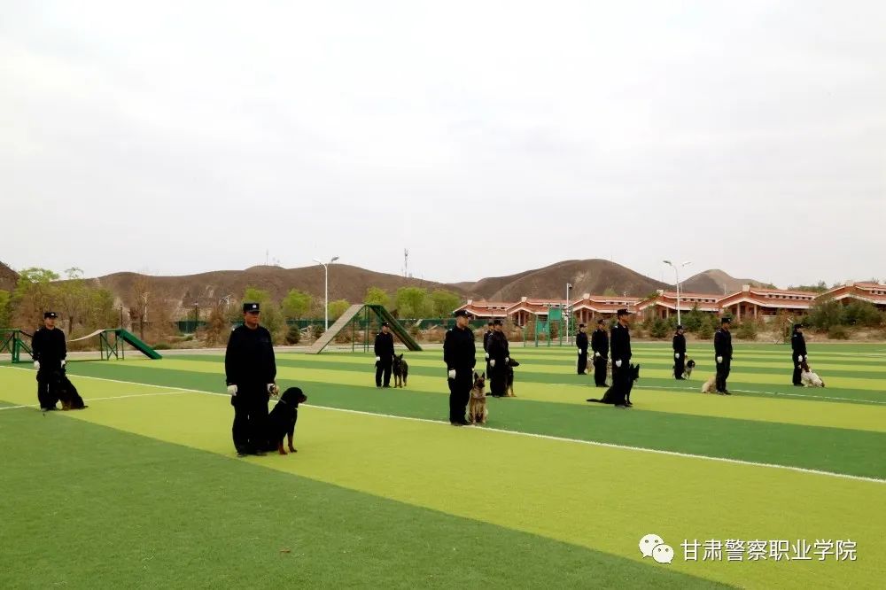 甘肃警察职业学院招生简章,甘肃警察职业学院招生解读