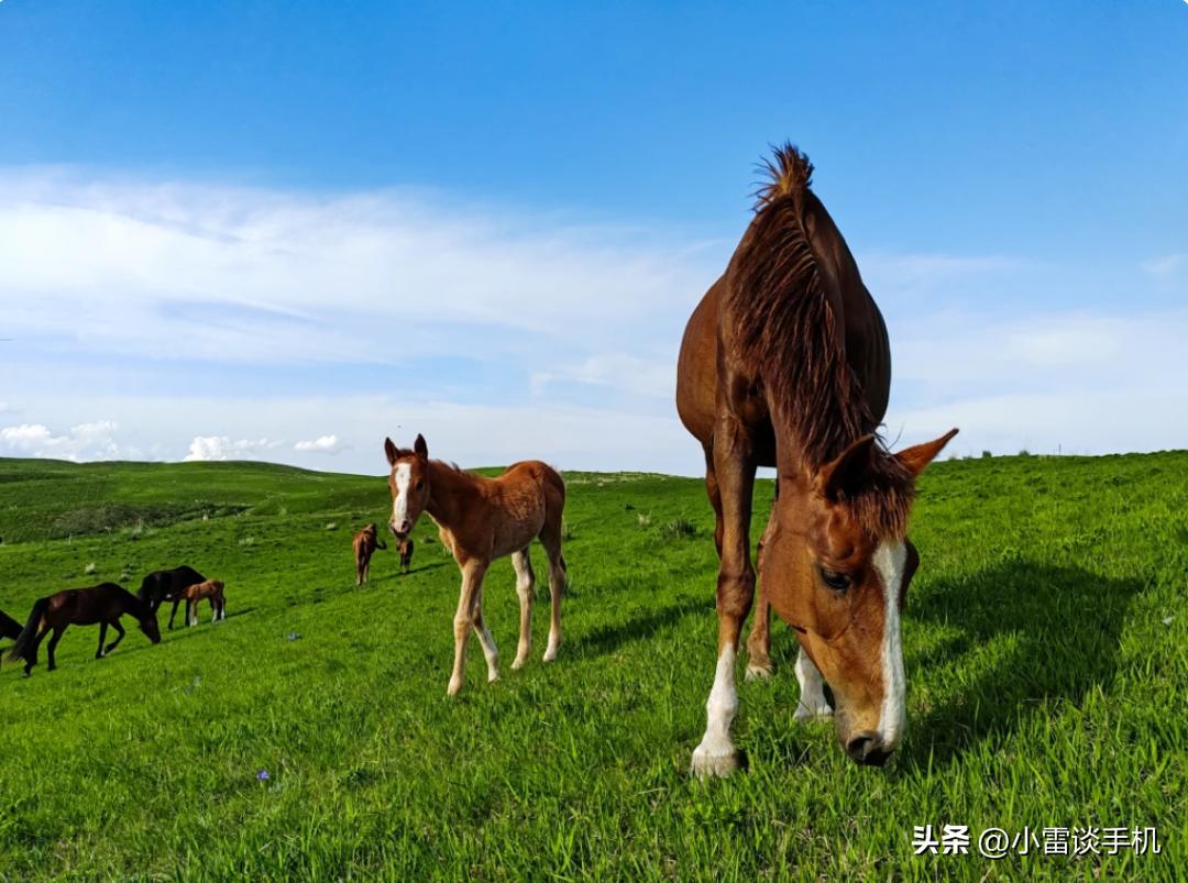 2023年618拍照手机,2023年618手机攻略