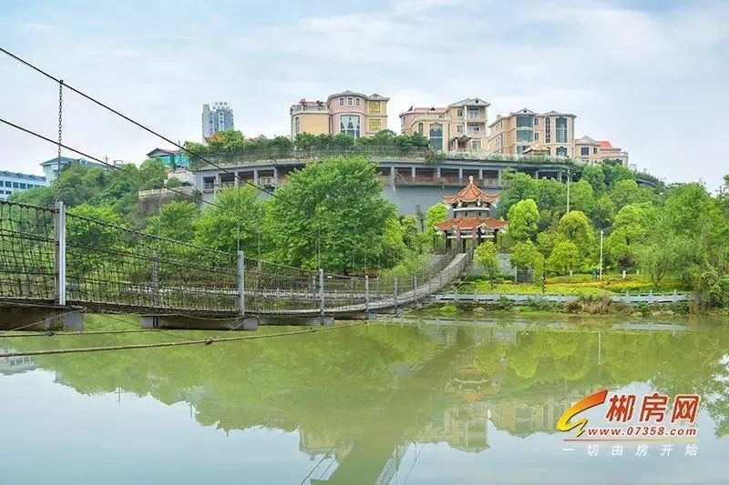 郴州爱莲湖星湖湾楼王,大师兄说楼市