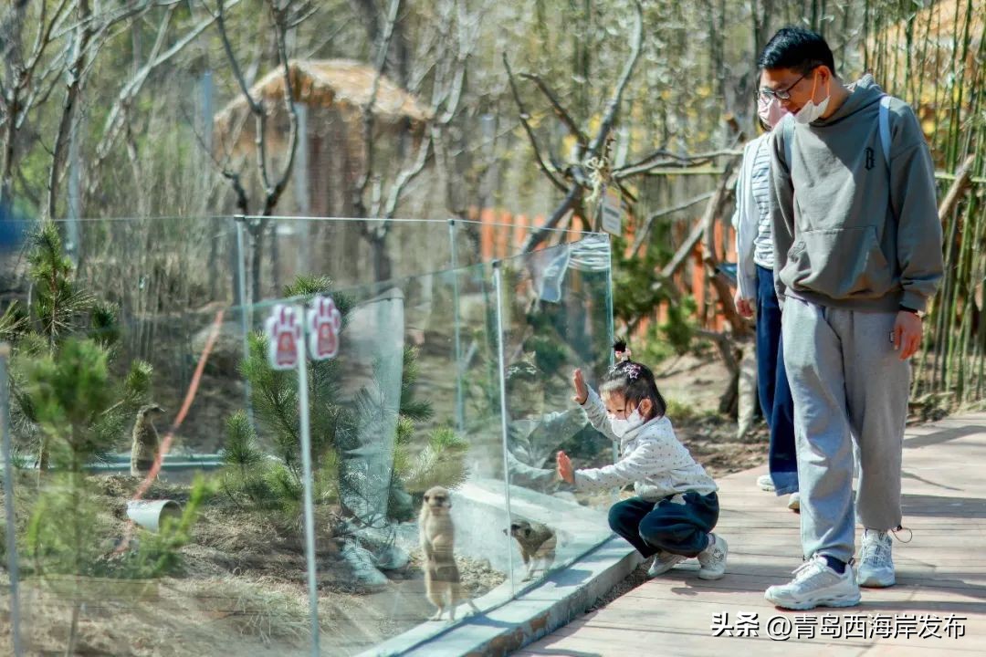 现实版小森林，这些藏在西海岸周边的乡野太治愈