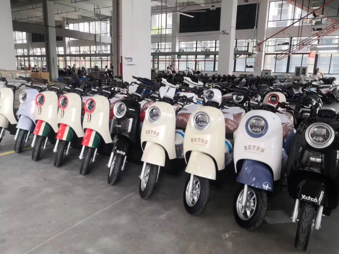 进阶突破后的优狐，砥砺奋进再出发