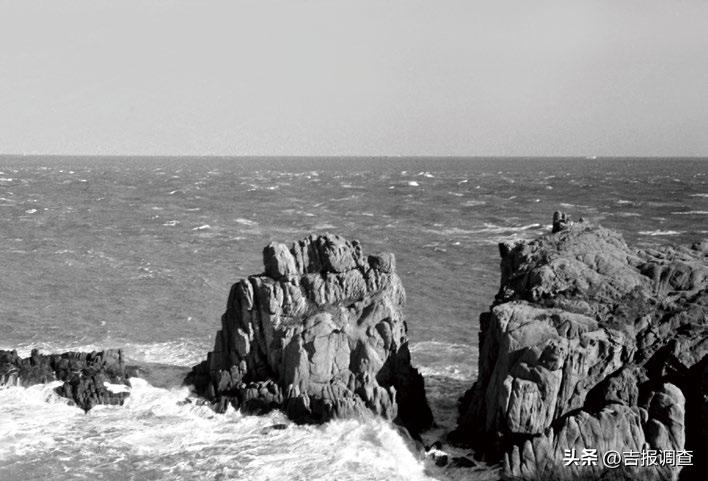 ​寓教于光影，启智又好看的长影经典科教片