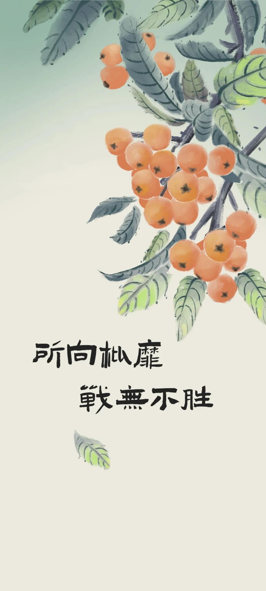 最新手机壁纸文字壁纸,如何在壁纸上添加文字