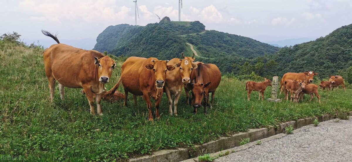 我在头条搞创作，从一分钱到一百元的历程