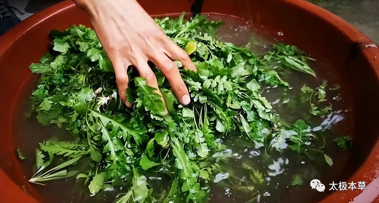 用眼过度怎么缓解吃什么,看电脑用眼过度怎么缓解