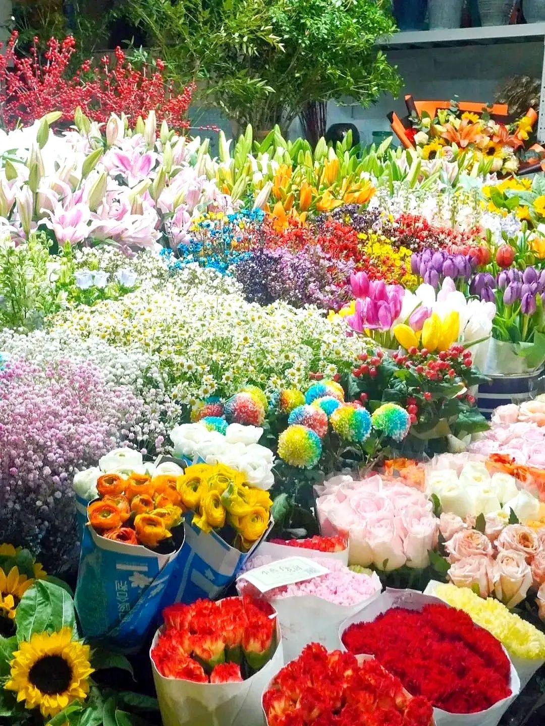 济南花市排名,济南赏花打卡地