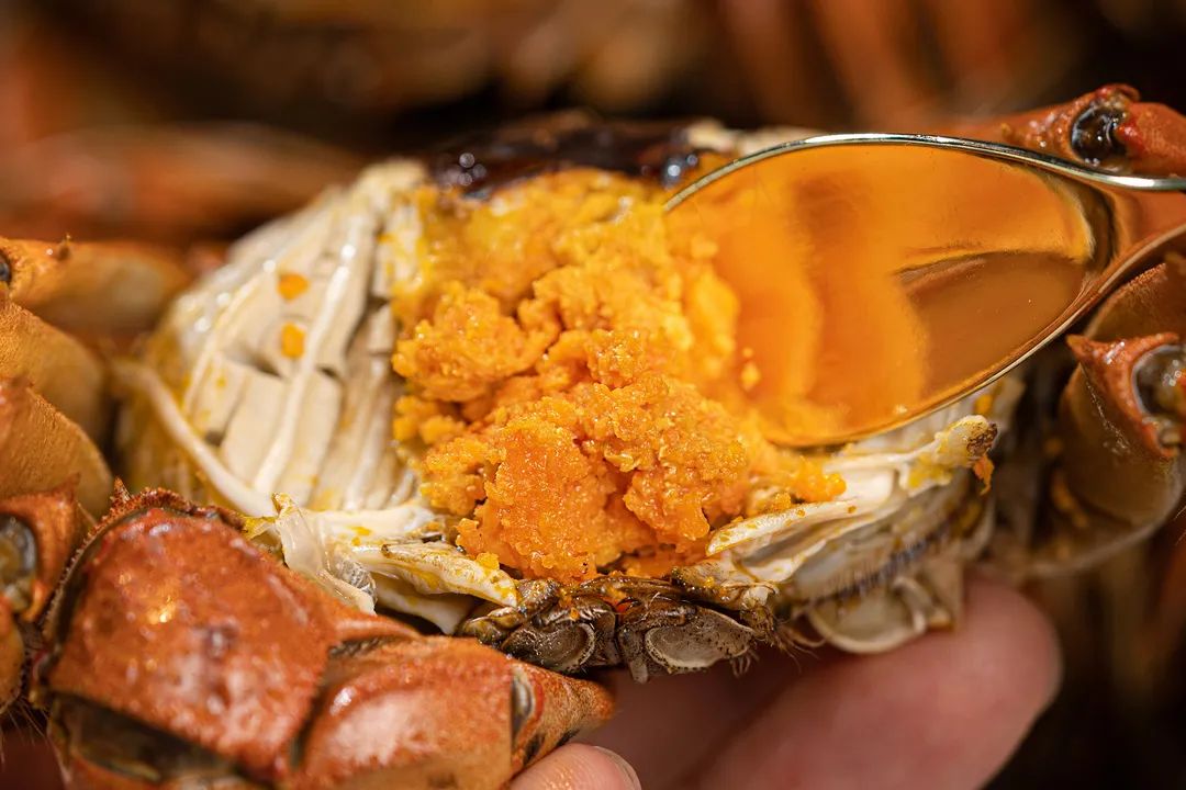 大闸蟹的正确吃法保存方法,大闸蟹的正确吃法和讲究