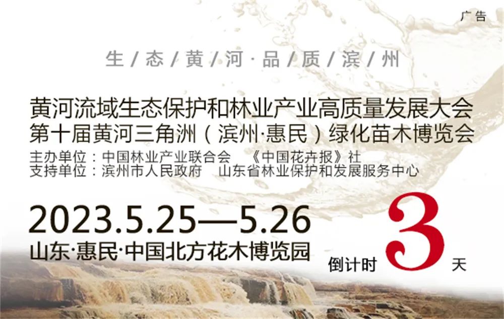 切花芍药每亩种植多少株,种植切花芍药每亩能挣多少钱