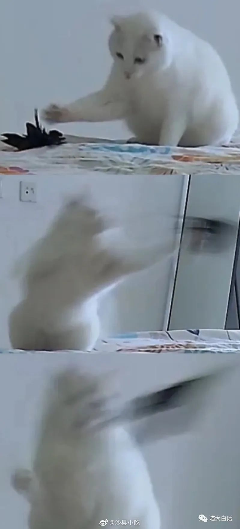 背德文学啥意思,背德文学是什么