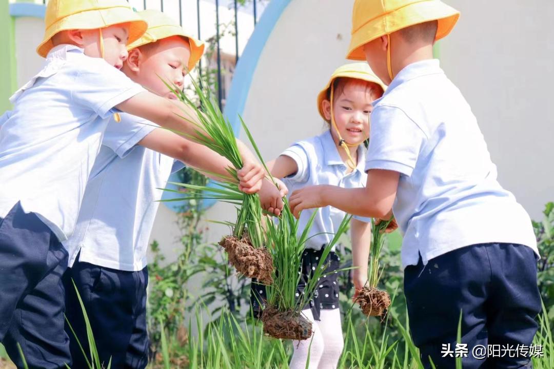2024德阳公办幼儿园报名统计,德阳2024幼儿园招生信息一览表