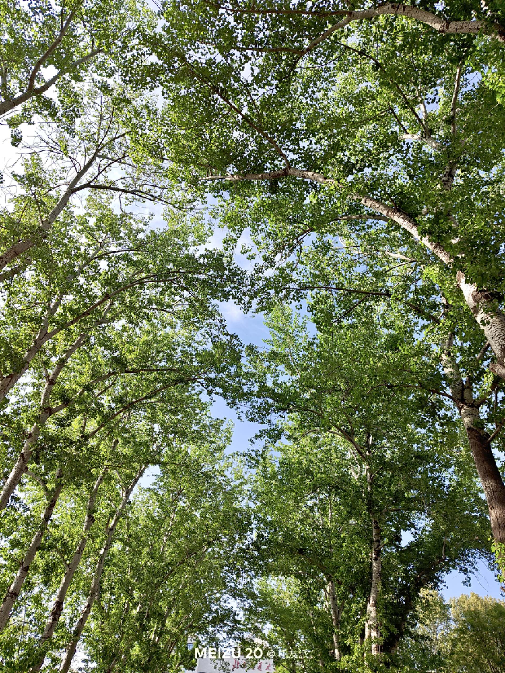 魅族20infinity无界版ppi,说说你们用魅族20手机的真实感受