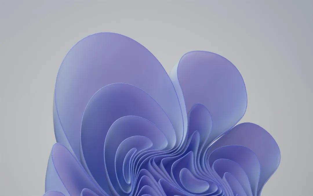 pantone2024年度代表色公布,pantone年度流行色年鉴2024