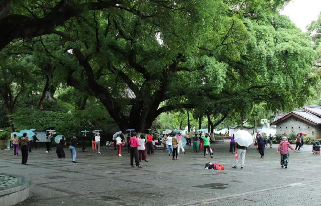 江西看尽人间冷暖,看江西赣剧