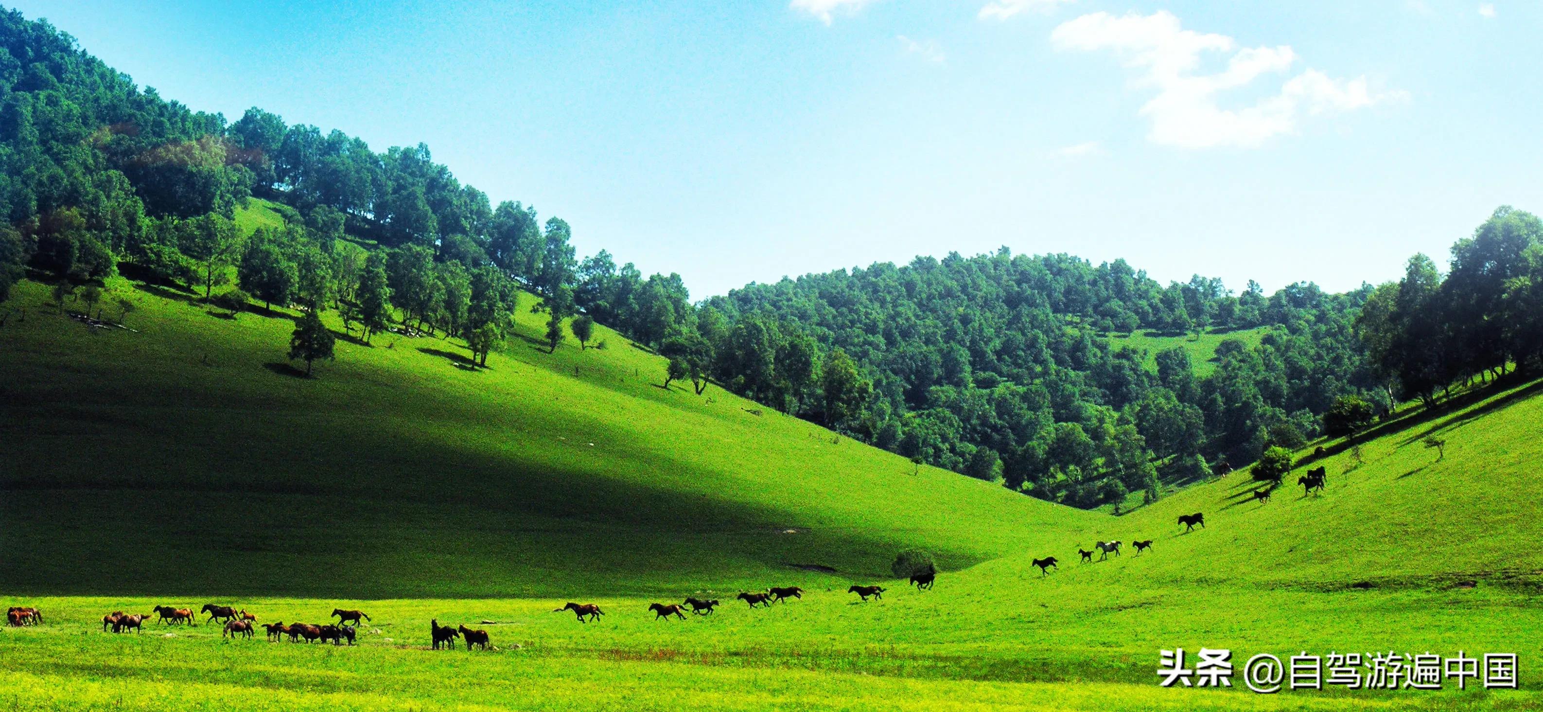 陕西最美十大风景区,陕西汉阴县十大景点