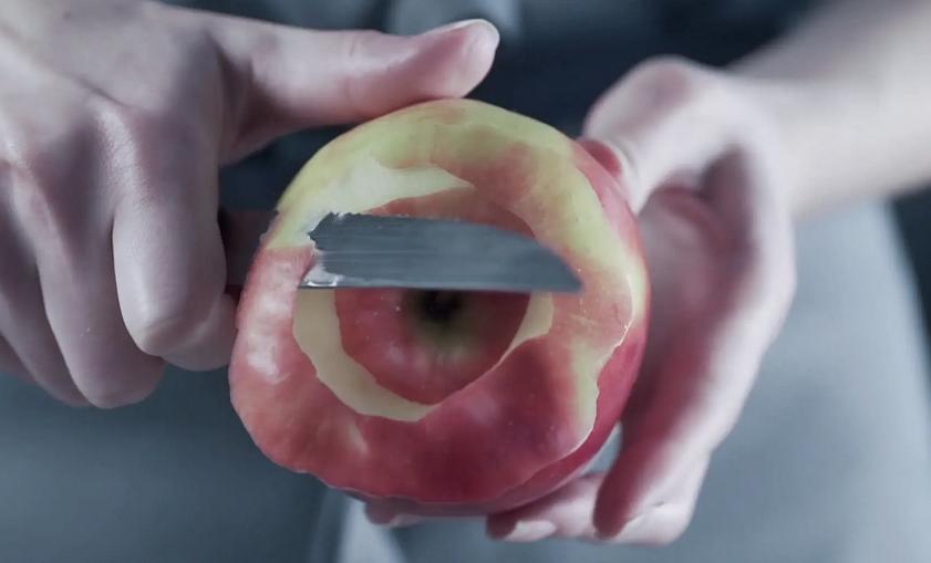 17岁女生殉情真实事件,17岁少女为爱殉情