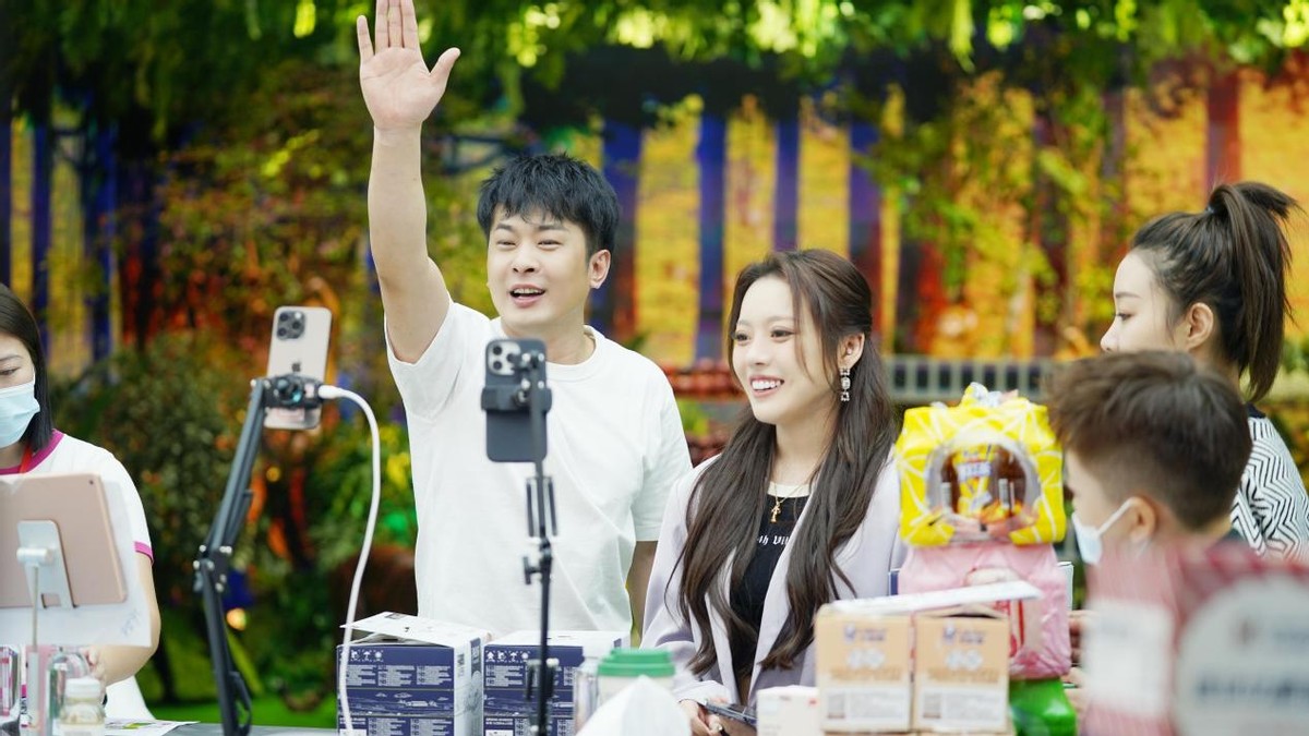 辛巴自己做电商平台,辛巴背后的电商的酸甜苦辣