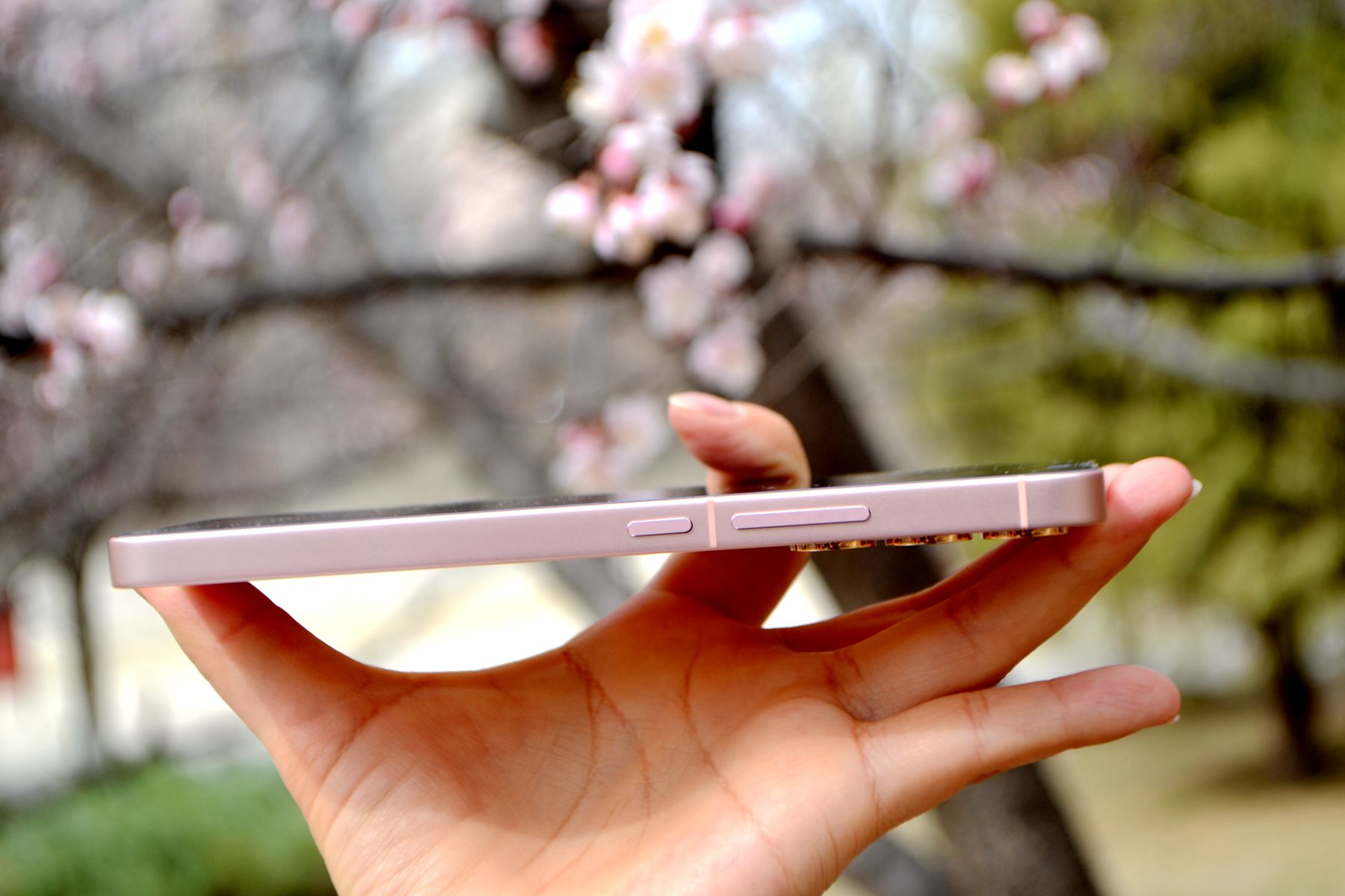 没有短板的手机,没什么短板的手机