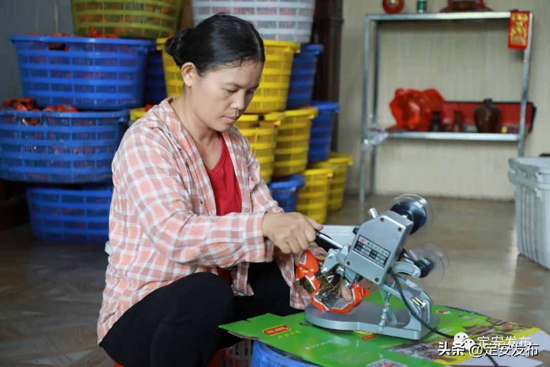 定安岭口槟榔厂,定安鸿发槟榔加工厂