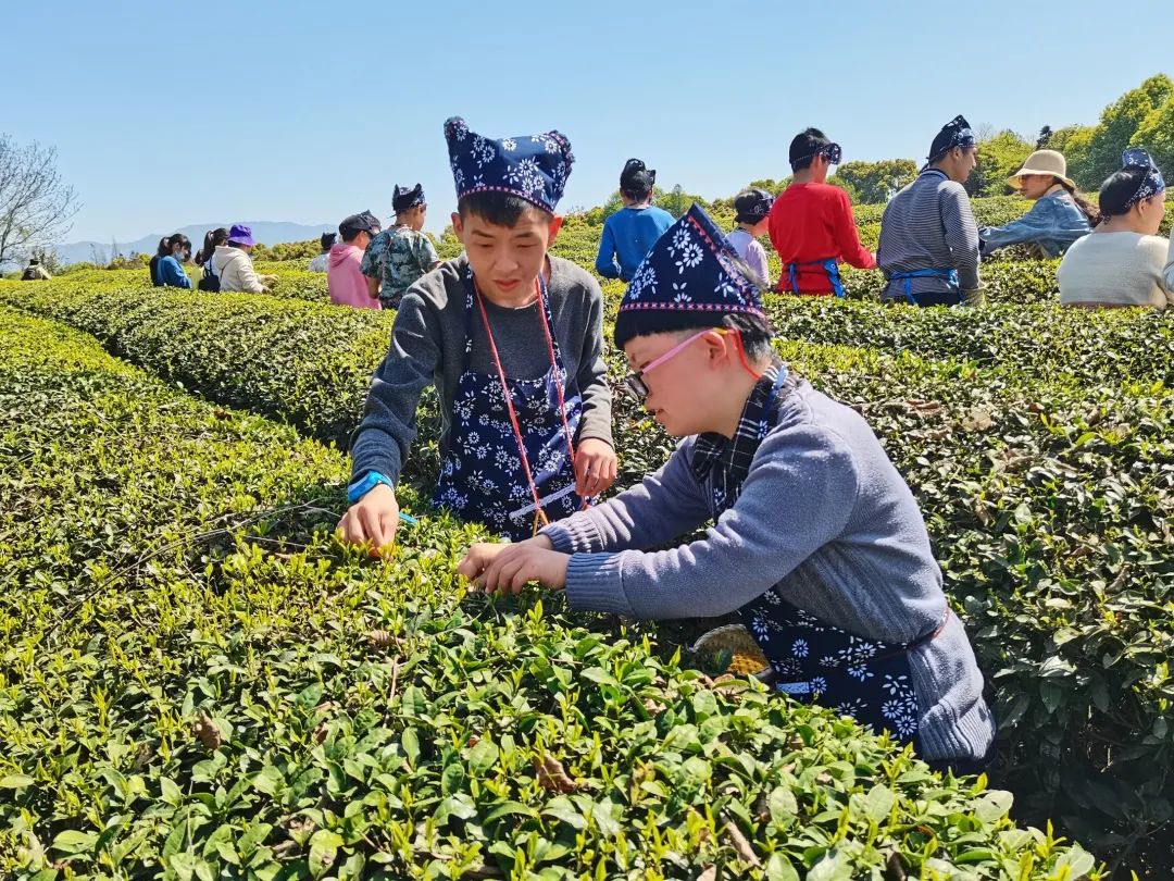 「探星人计划」兰溪这所学校的“特殊”孩子，值得被更多人看见
