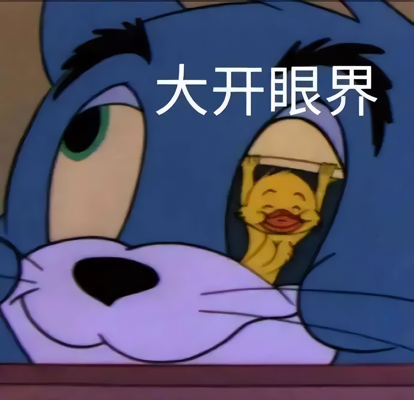 不不不不不不的英文,不不不不然呢用英语怎么说