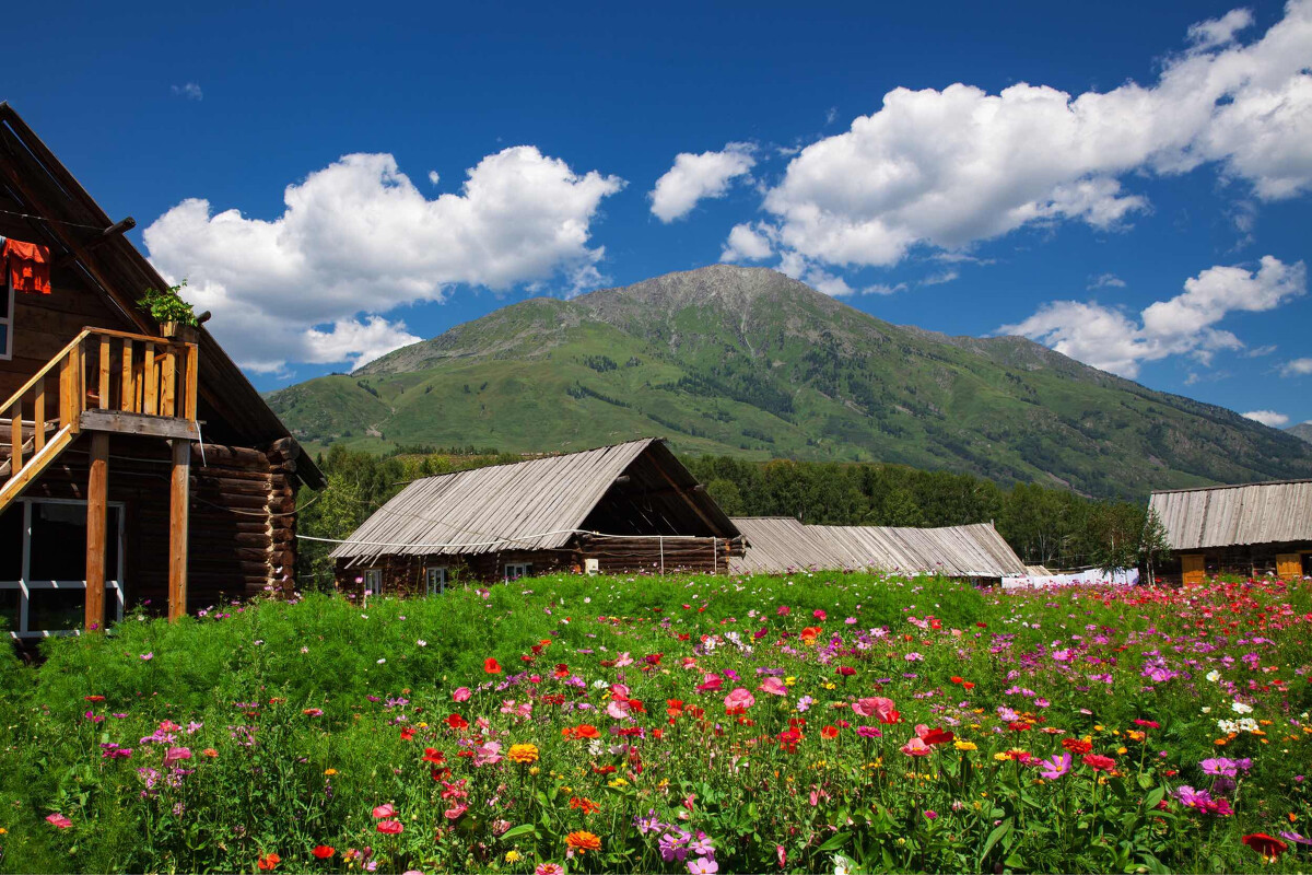 新疆禾木阿勒泰攻略,新疆禾木乡游攻略