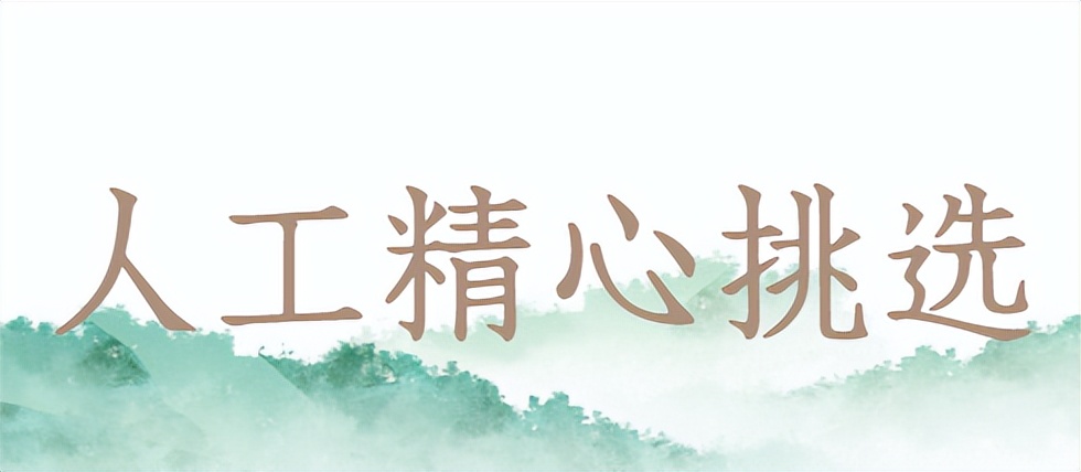 溧阳市天目湖绿溪茶场白茶,天目湖环湖茶场白茶