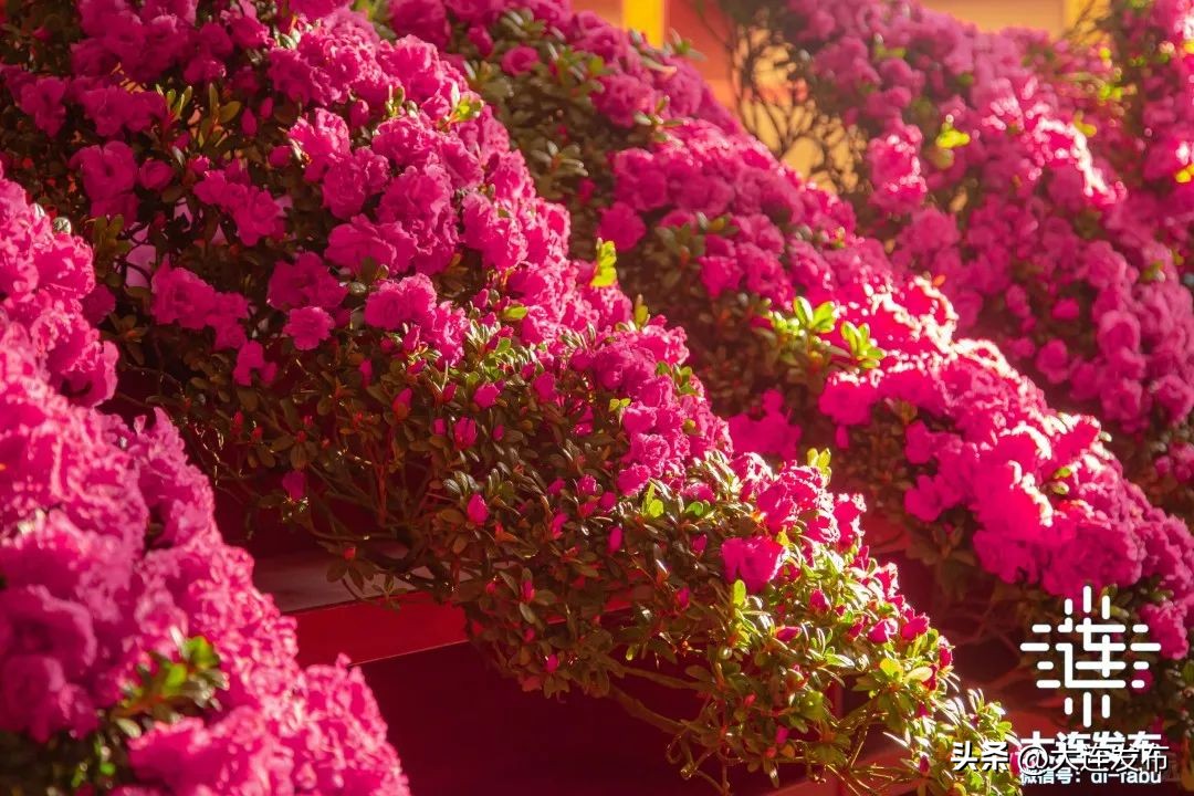 假期该怎么玩,假期怎样玩才好玩