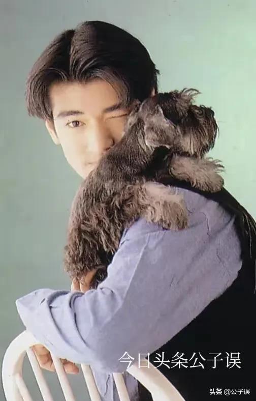 陈慧琳与金城武裸妆照片,金城武和杨采妮为什么分手