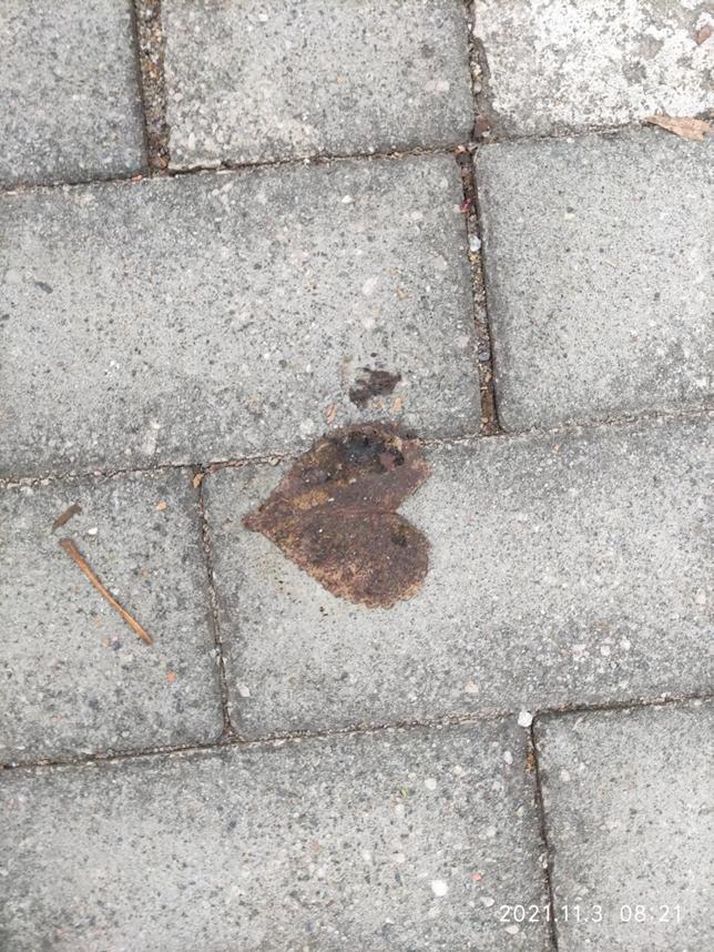 美丽校园行-2|历史生眼中的天津师范大学主校区