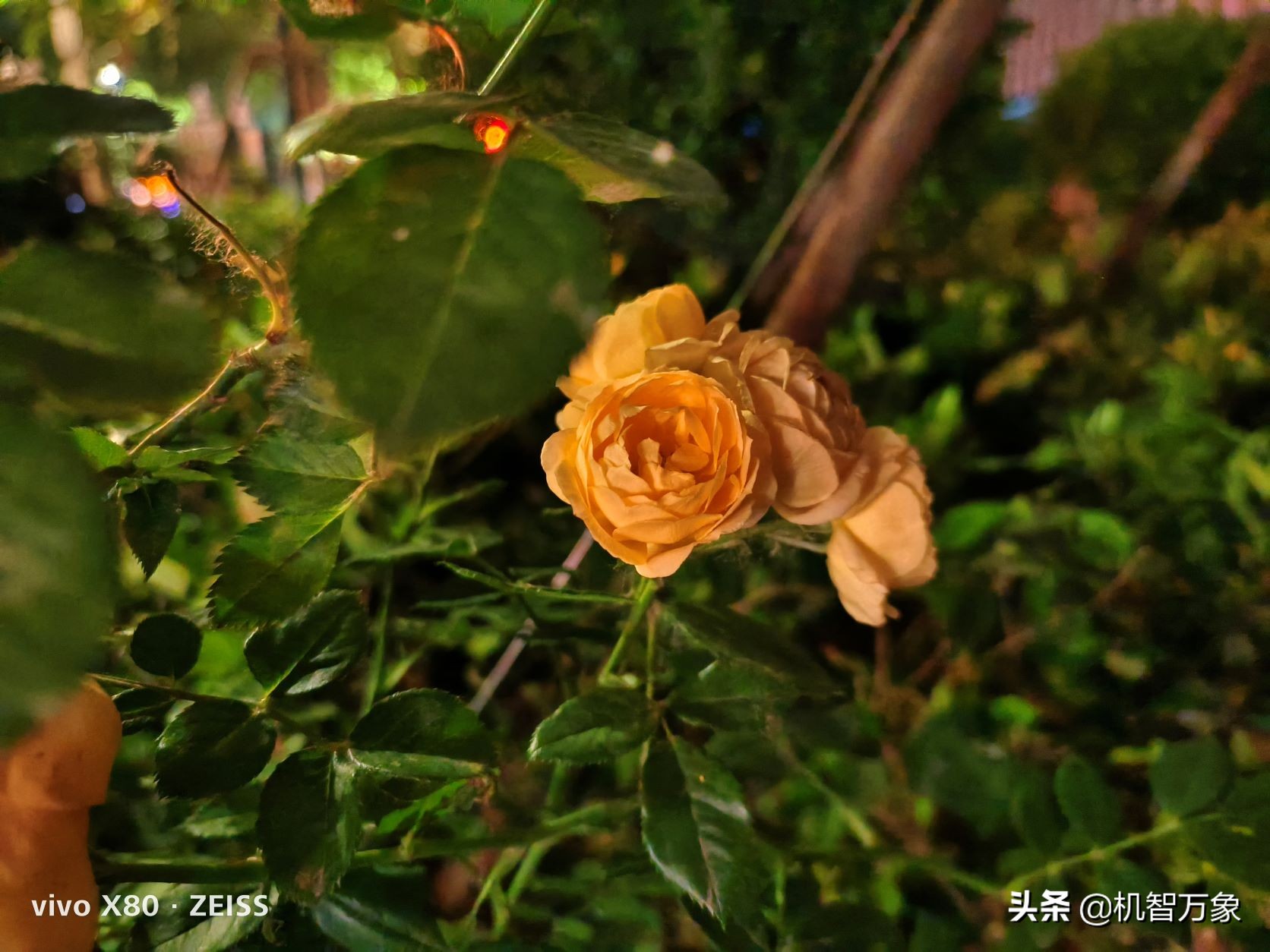 夜里比肉眼看得清楚？vivoX80堪比“夜视仪”，掌握了啥黑科技？