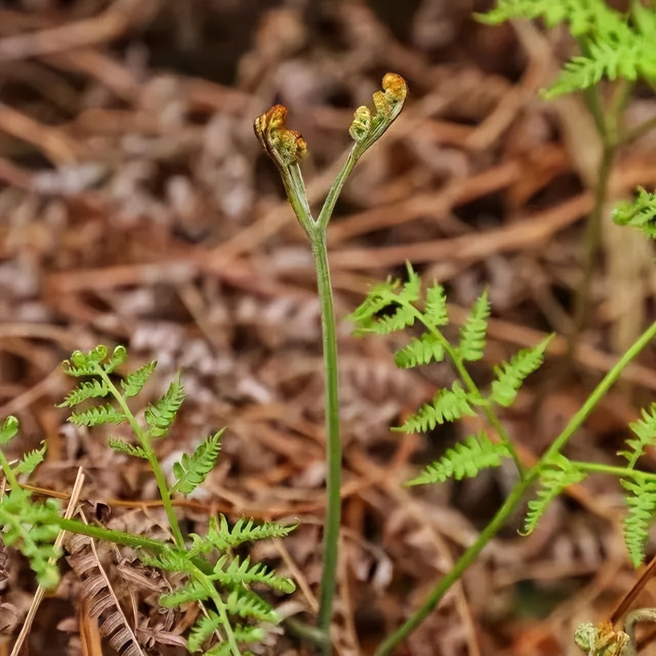醉美偏坡美食团购,醉美偏坡海鲜烧烤