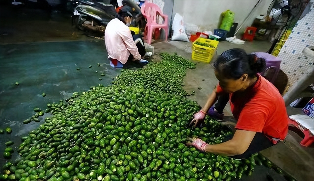 槟榔行业迎来重新洗牌,槟榔产业调控