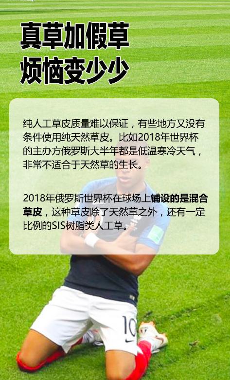 世界杯的草是真草还是假草,世界杯的草地是真的吗