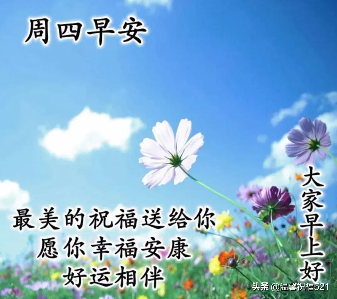 早上好祝福图片带字周末,早晨好漂亮祝福图片带字