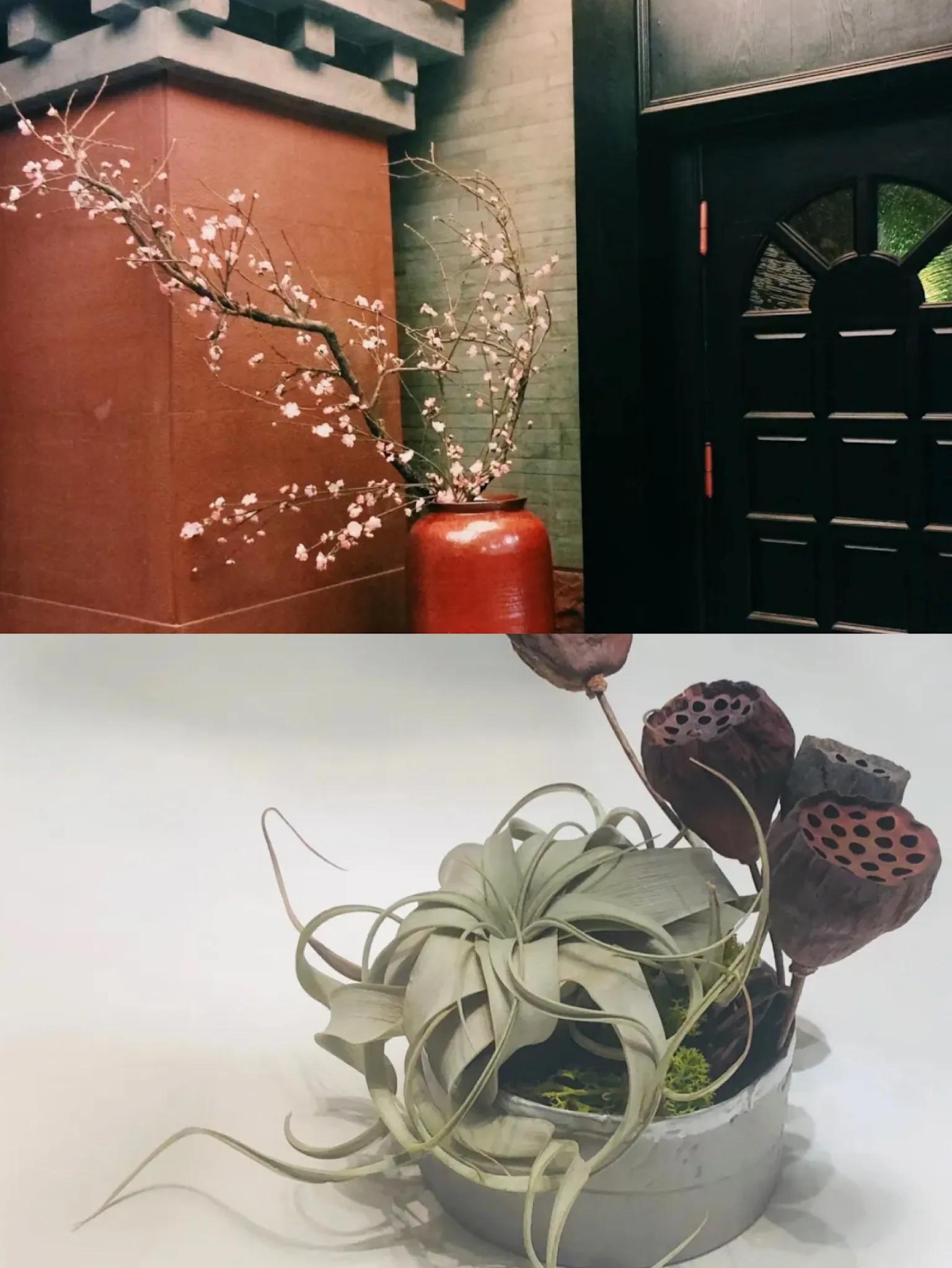 土豪的世界所有视频,土豪的世界详解