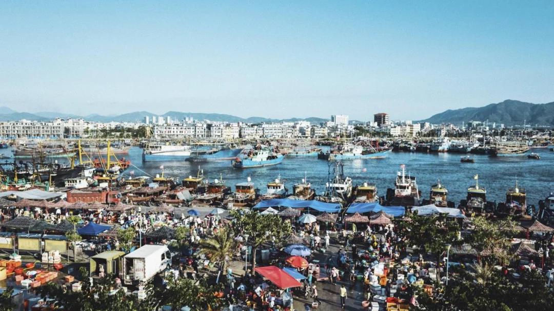 揭开8万人滞留三亚的疫情源头之谜：一艘越南渔船的非法交易